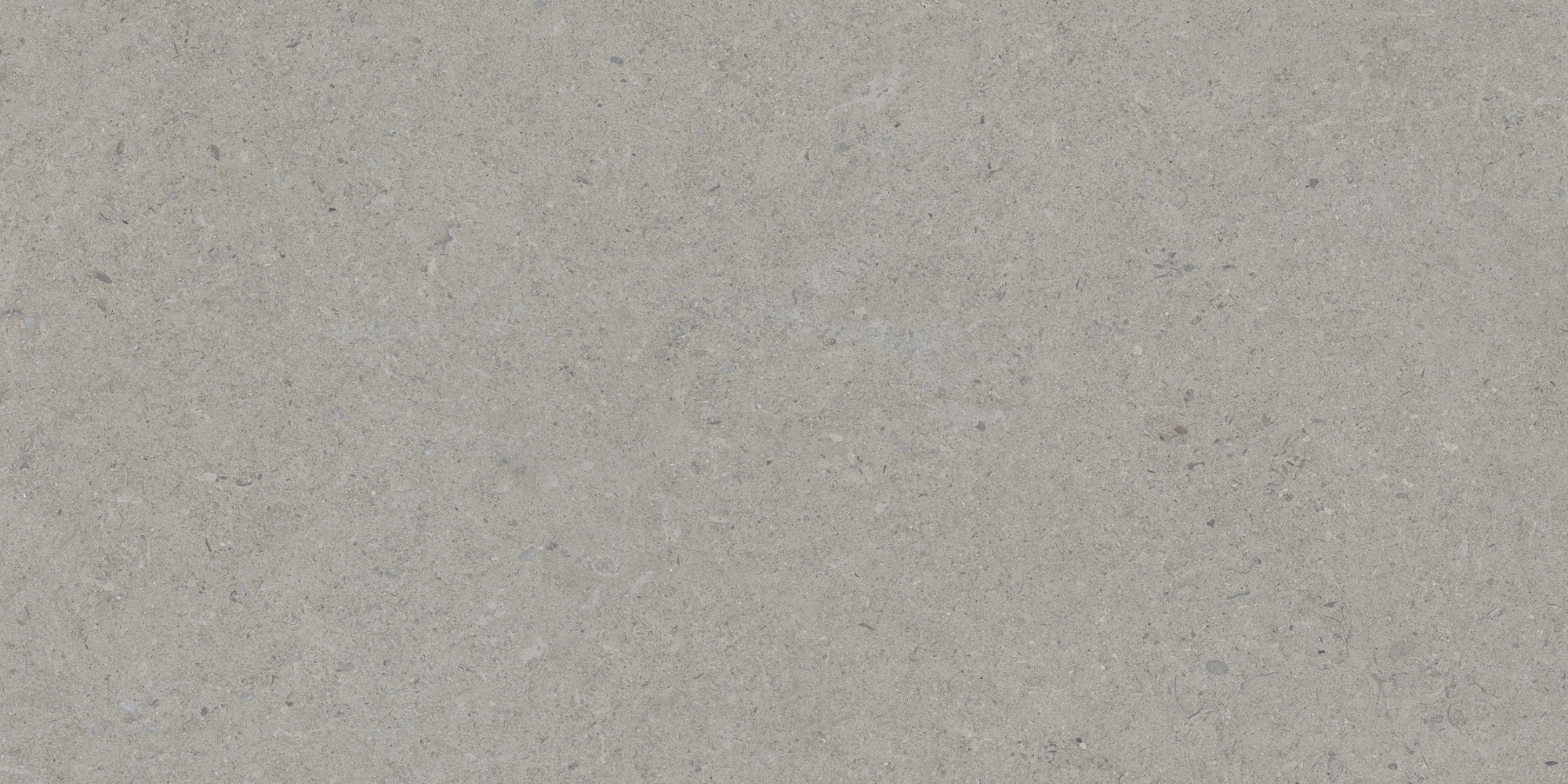 Calcare Silver 60x120 TAU Ceramica фото 7