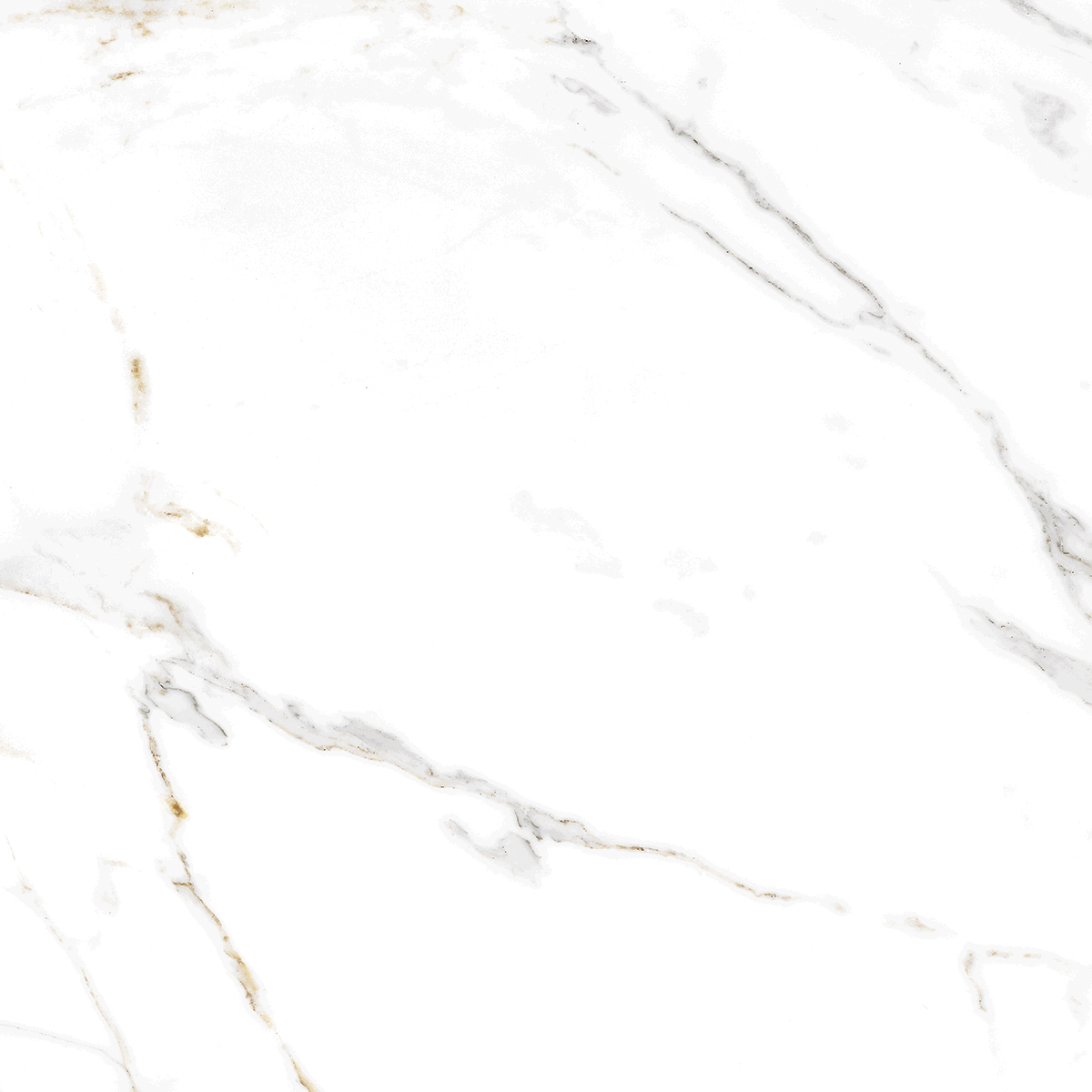 AB1002G Regal Carara gloss 600x600 Absolut Gres