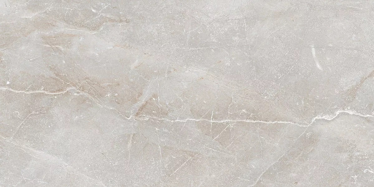 Stonico Oyster Grey Glossy 60x120 Art Ceramic