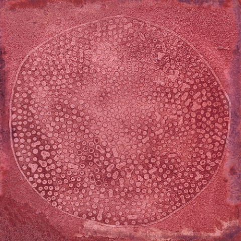 Carlo Granate-B 20x20 VIVES