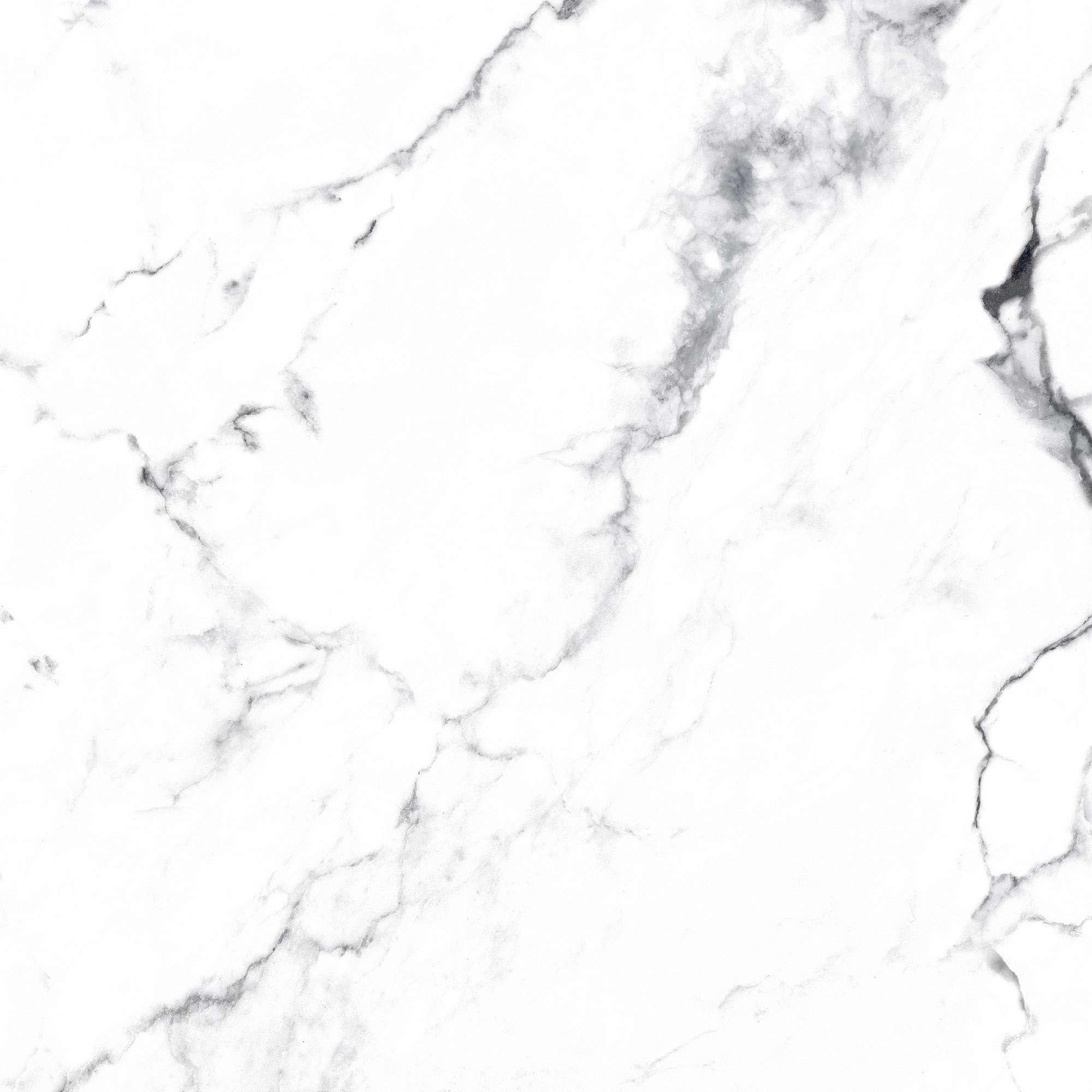 CR4006-A Borghini Silver Carving 60x60 Arcadia Ceramica