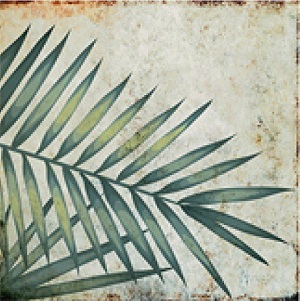 TR3333 Tropic 33х33 Serapool