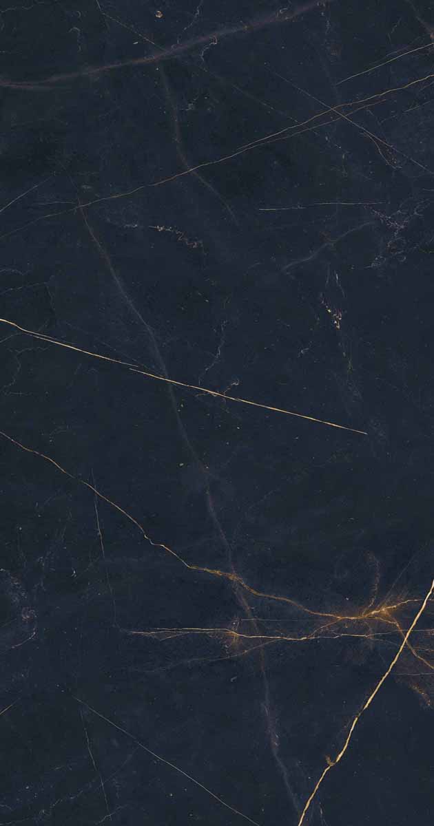 PF60011003 Precious Black Lux Ret 60x120 ABK