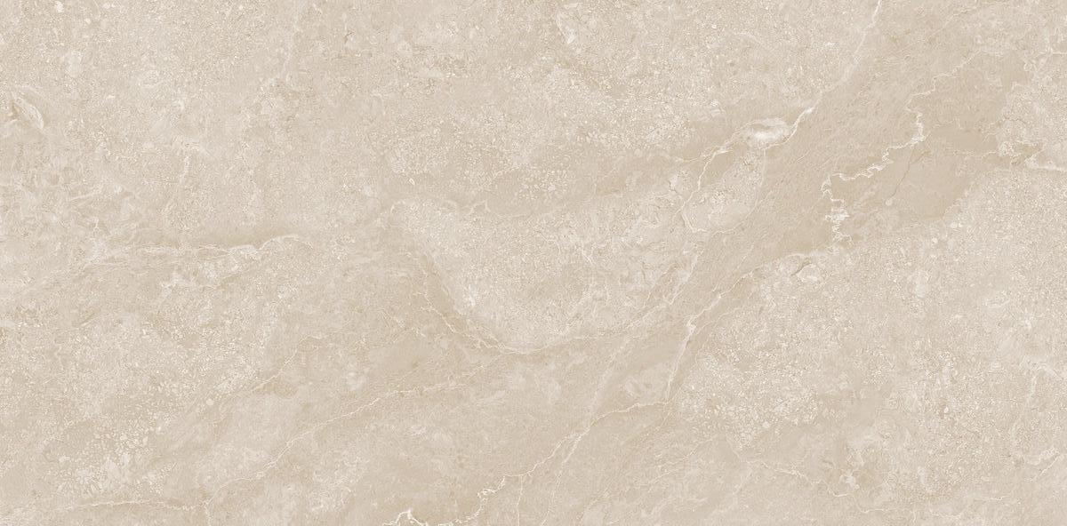 N20761 Etna Bone Carving Str 60x120 Neodom фото 2