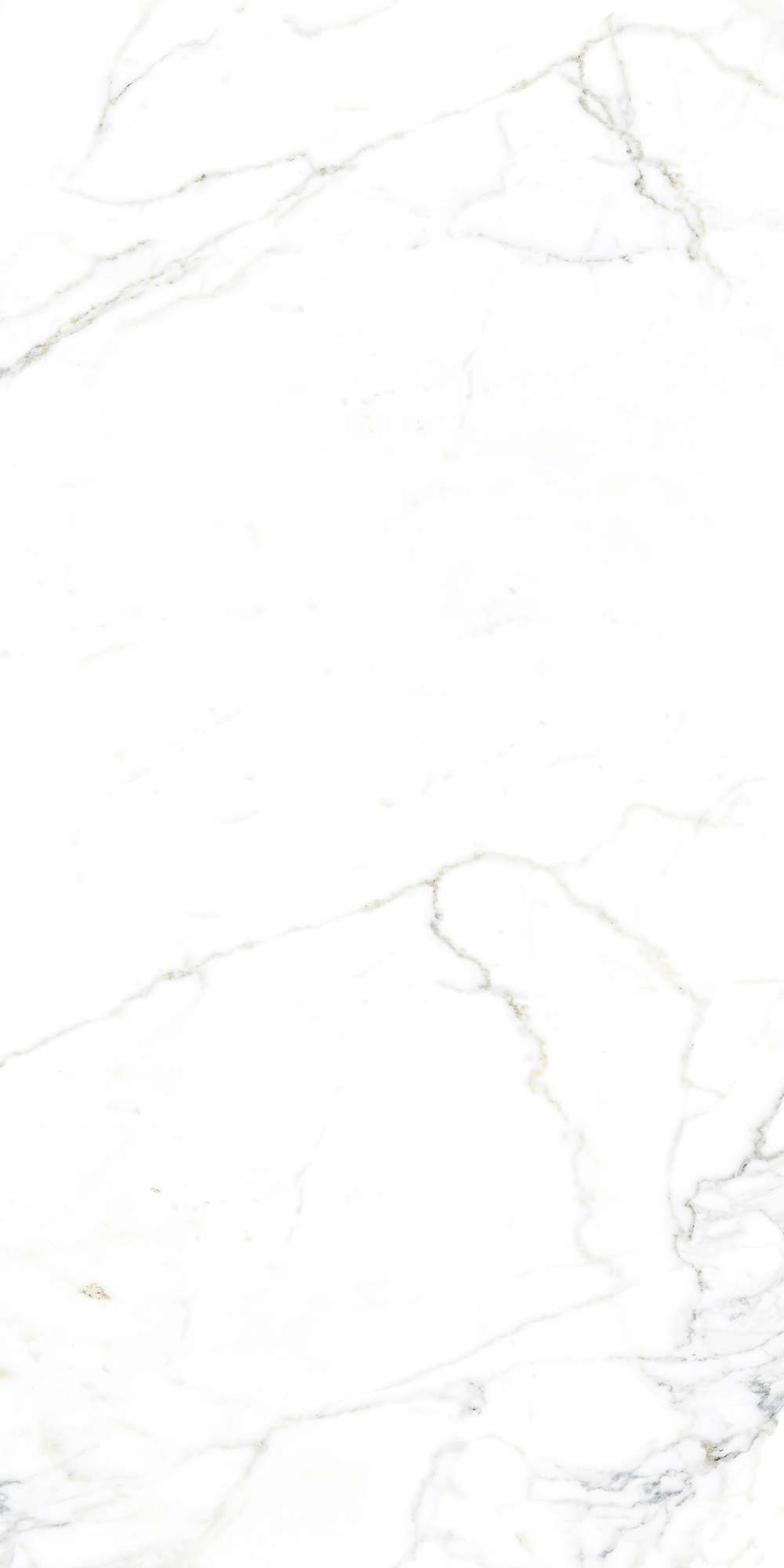 FP1002-A Luce Statuario Full Polished 60x120 Arcadia Ceramica