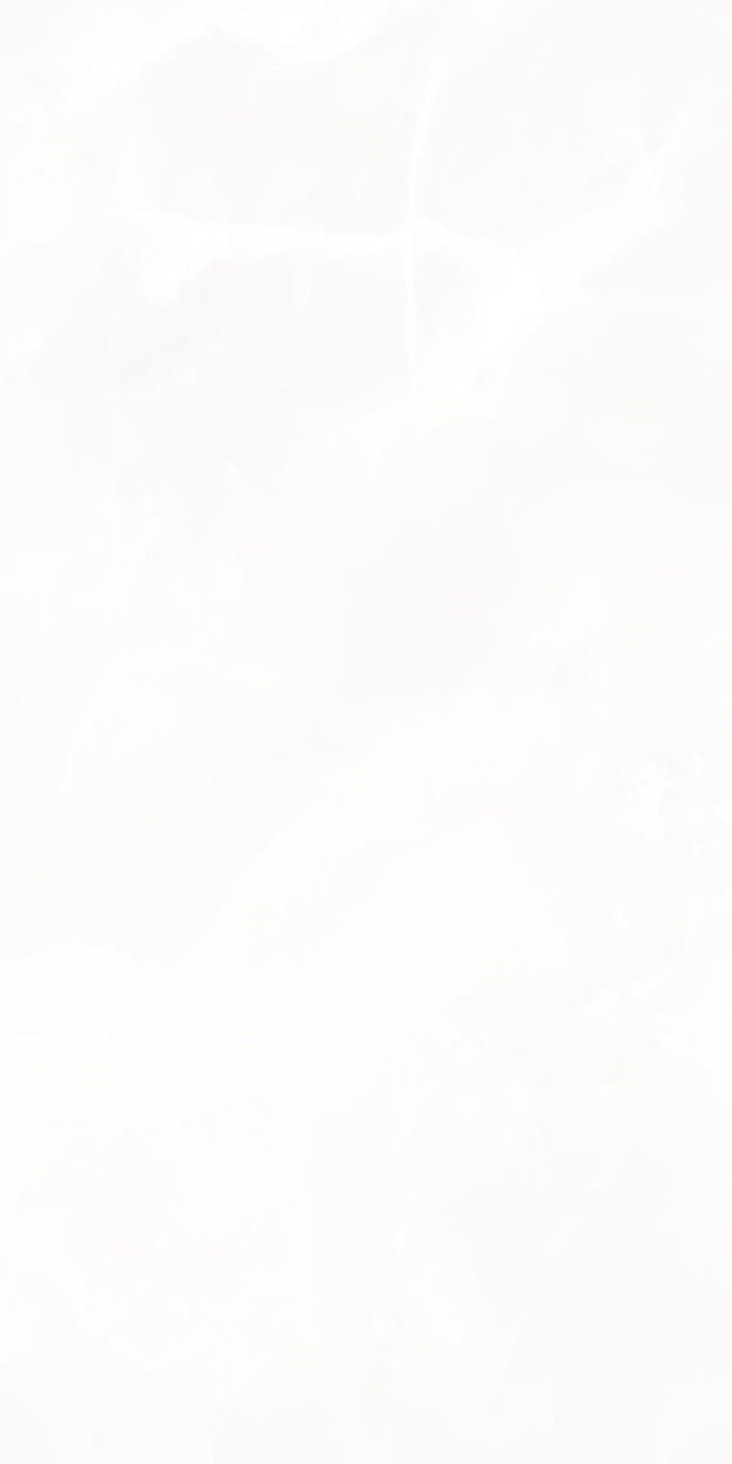 2207 Onix White Poli 9 mm 120x60 Artcer фото 2