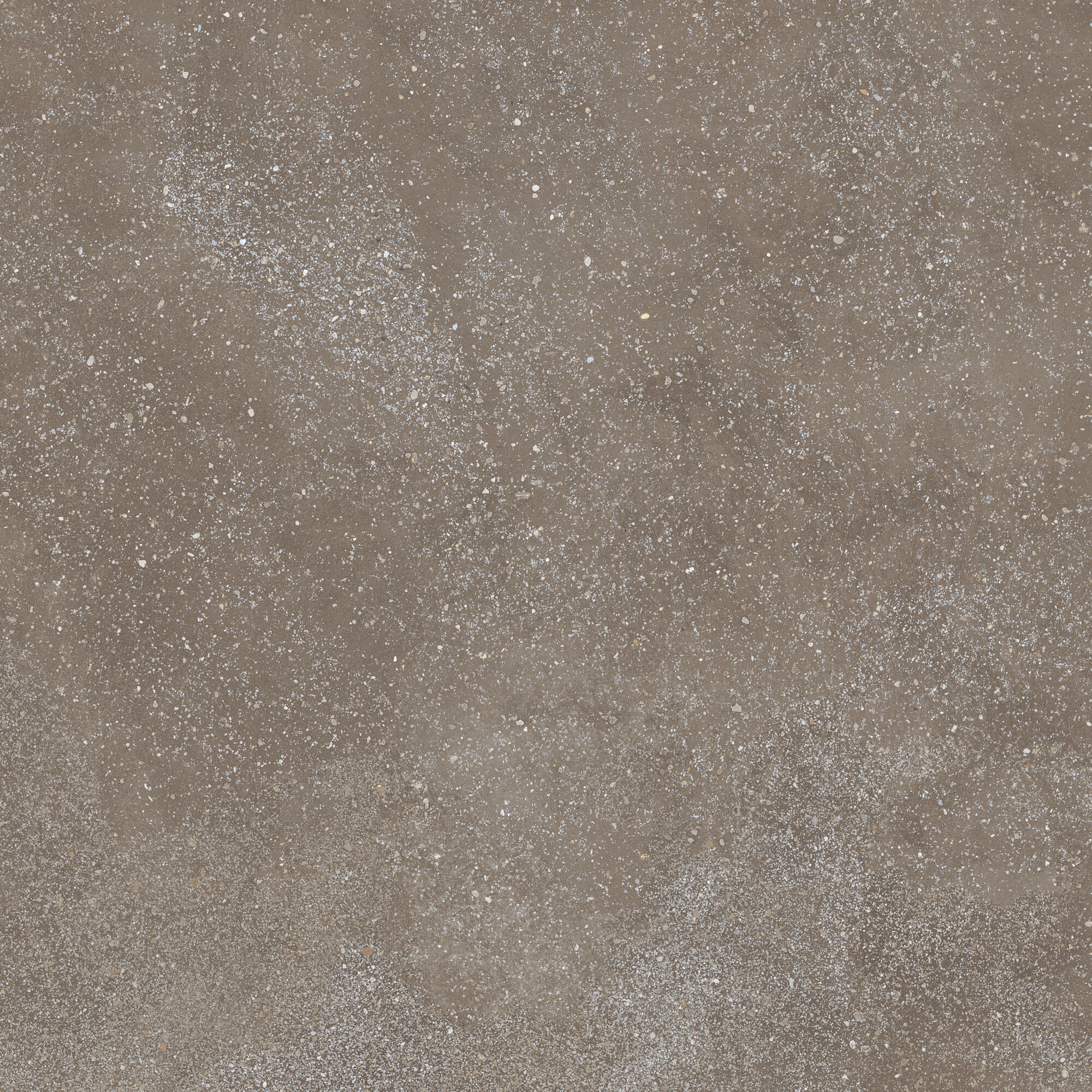 42811 Cosmos Chocolate SP/90X90X0,9/C/R 90x90 Harmony фото 4