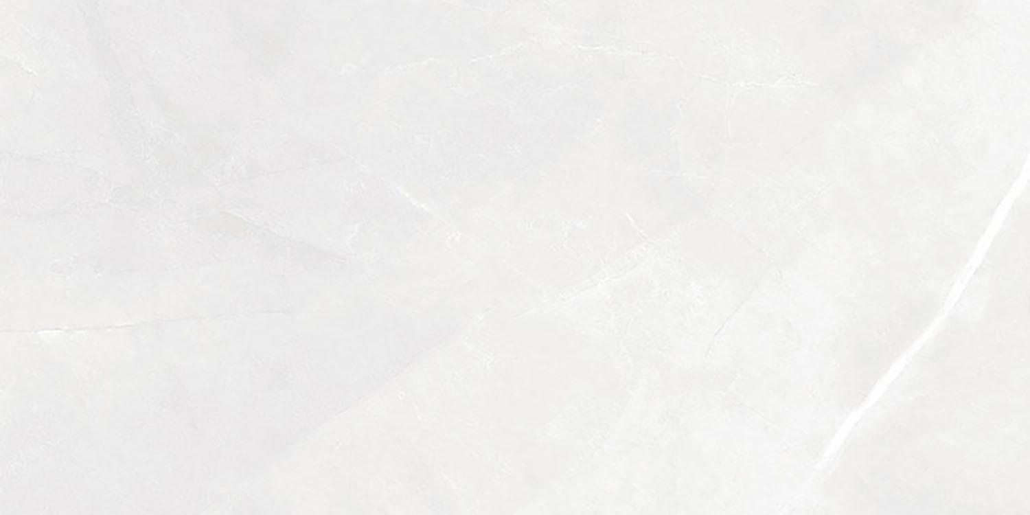 Elbert Blanco Matt 60x120 Geotiles