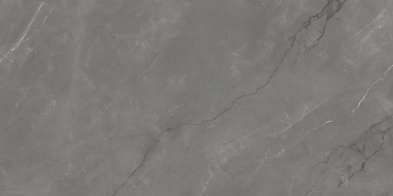 Astonia Grey Glossy Golden Line 60x120 Infinity Ceramica