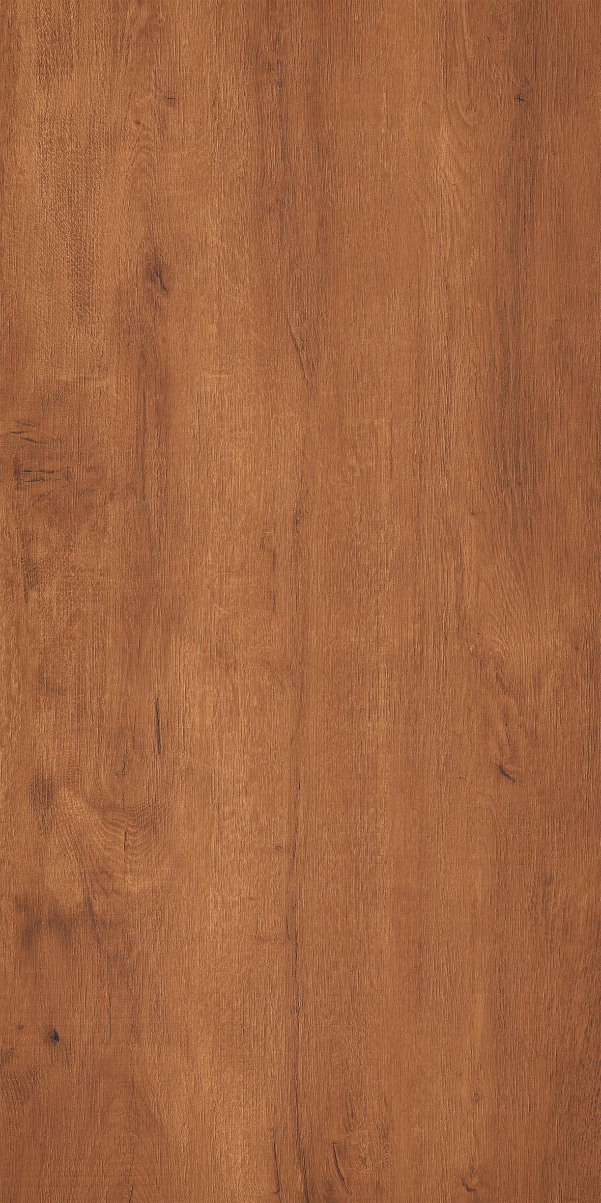 Kiel Brown Matt 60x120 Realistik