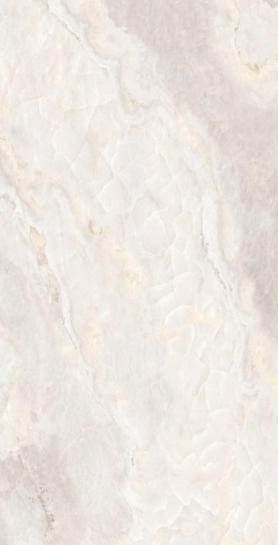 Onyx Clanton Rex pol. 60x120 Saans фото 6