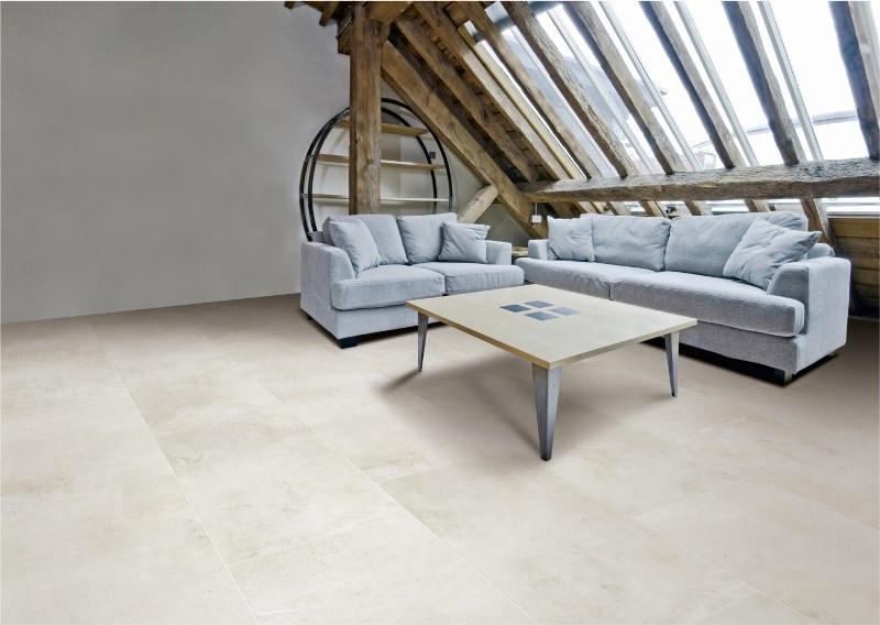 Maxstone Silver Mat 60x120 Realistik