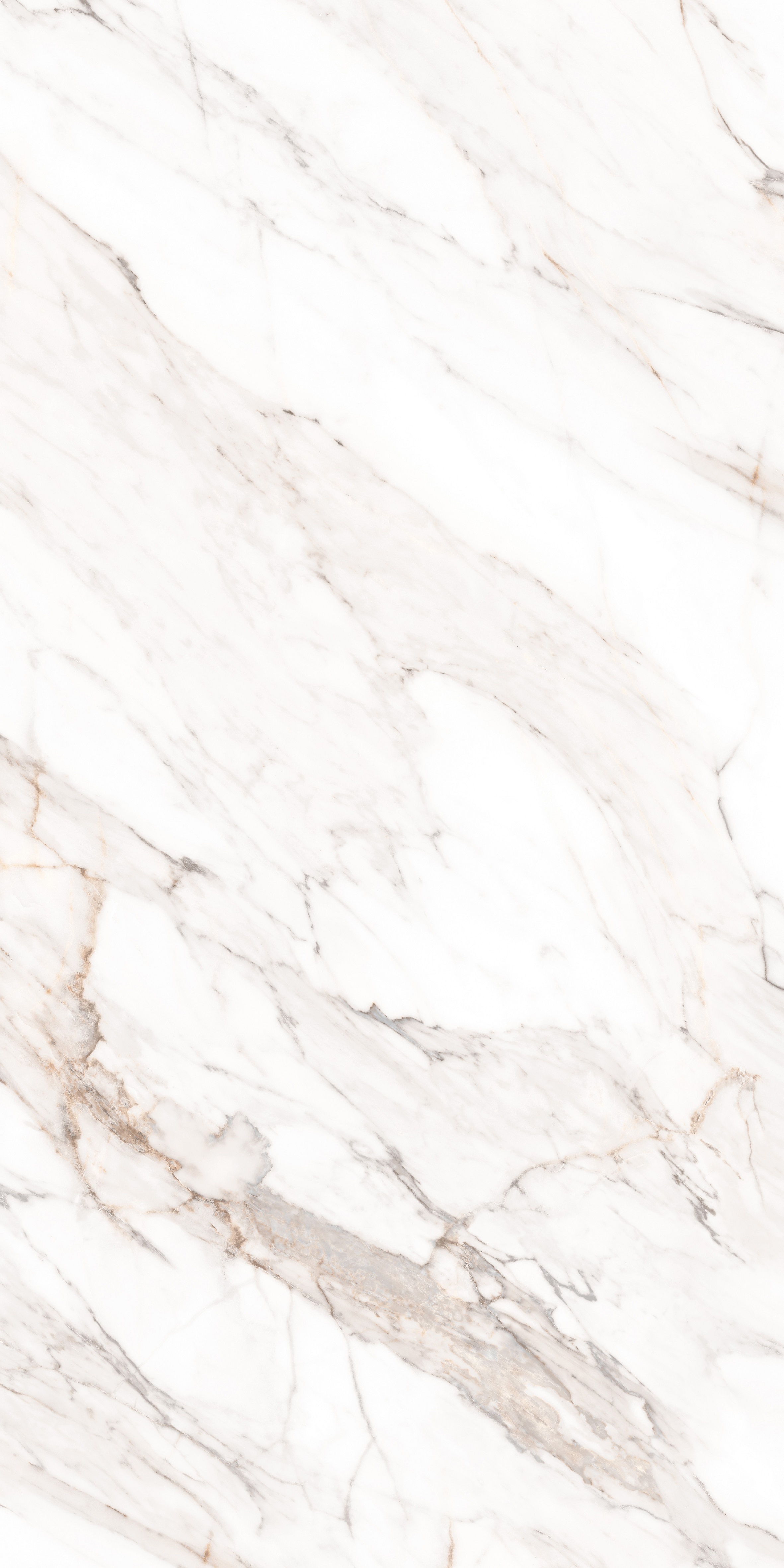 MPL-058640 Calacatta Gold Polished 80x160 Creto