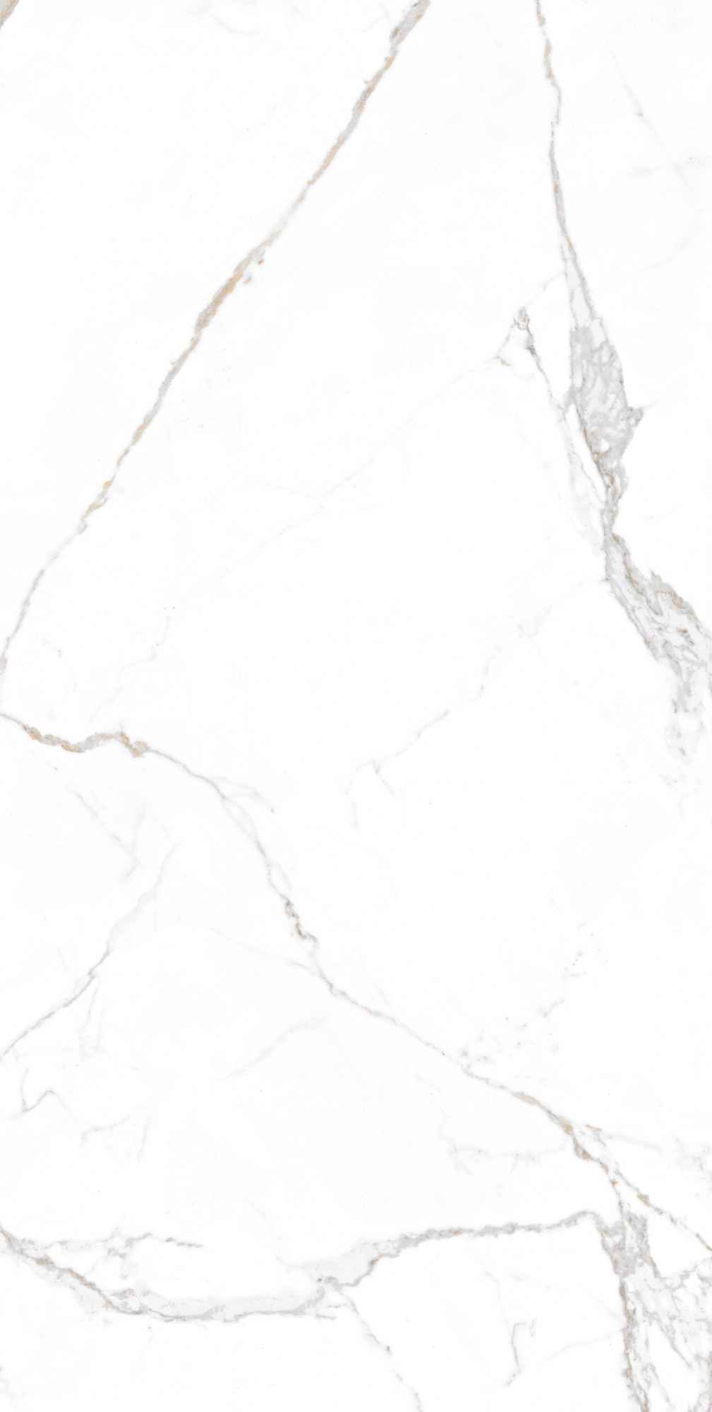 Statuario Brown Glossy 60x120 Modern Tile