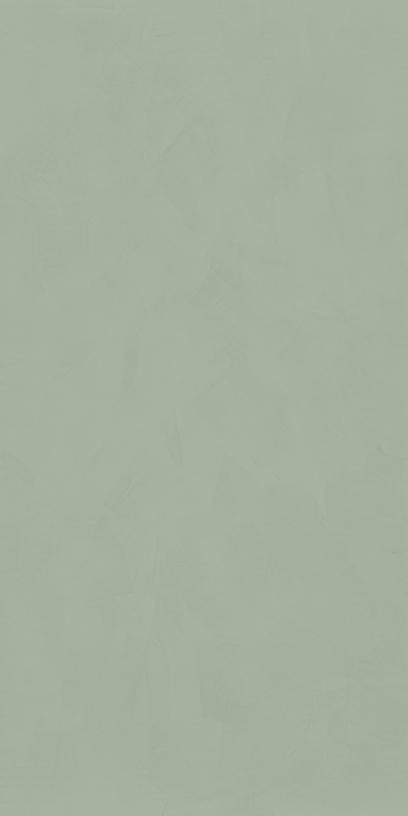 764046 Policroma Lichene Mat Ret 6mm 120x240 Cedit