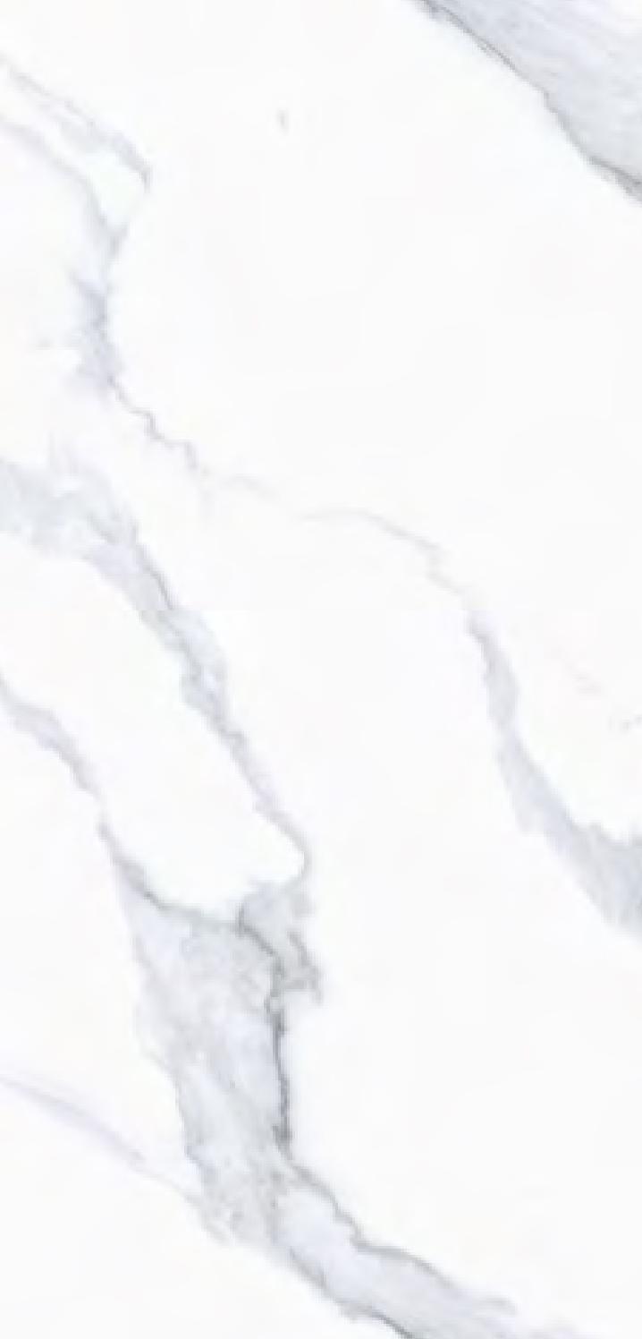 MG203 Winter Ice Matt Granula 60x120 PrimaVera