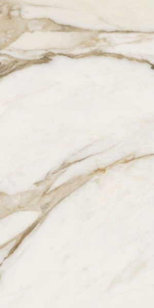 67582 Calac Br Luxr 60x120 Versace (Gardenia Orchidea)