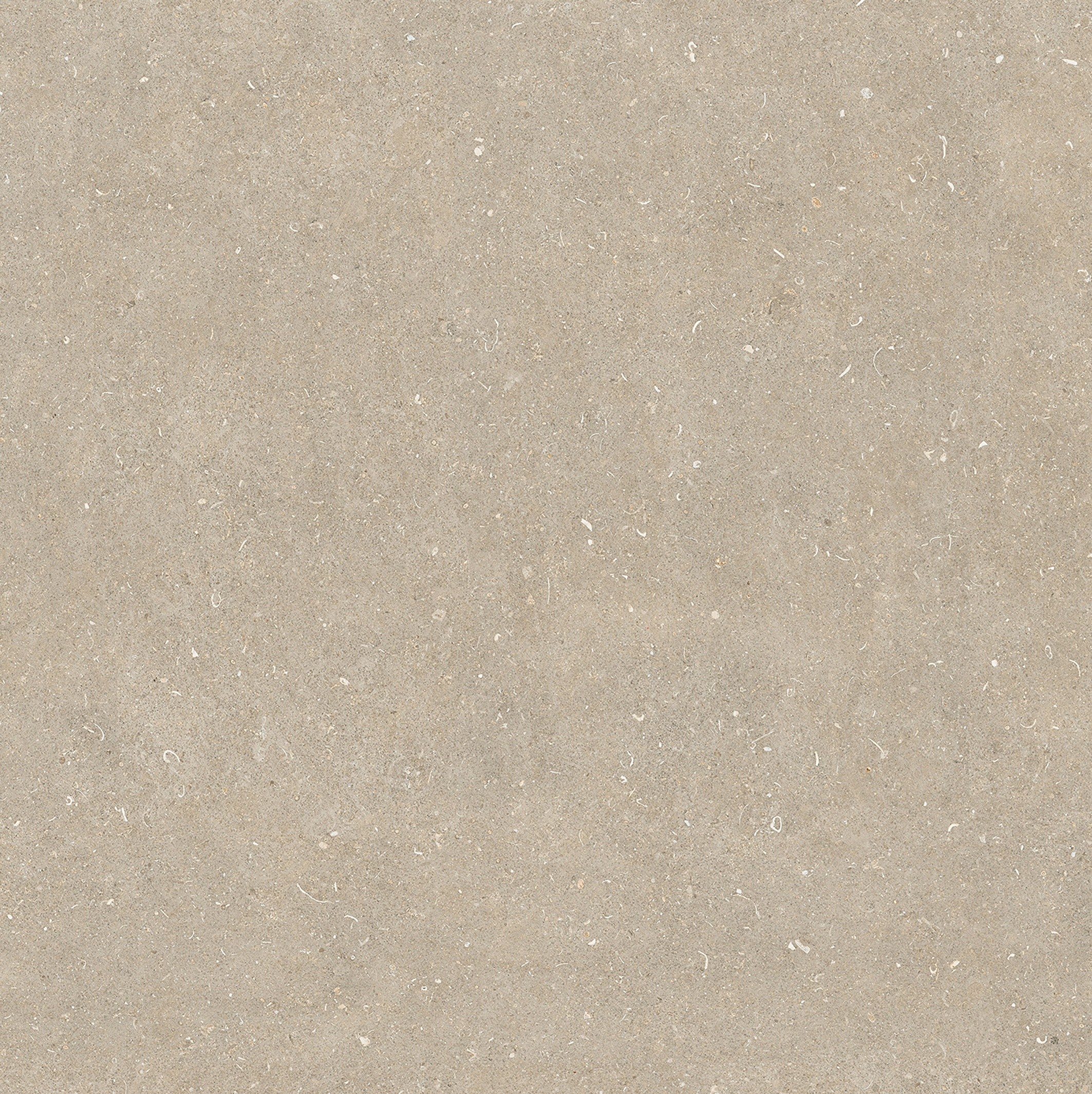 785579 Rinascenza Arena Conchiglia Matte 6mm 120x120 Casa Dolce Casa фото 6