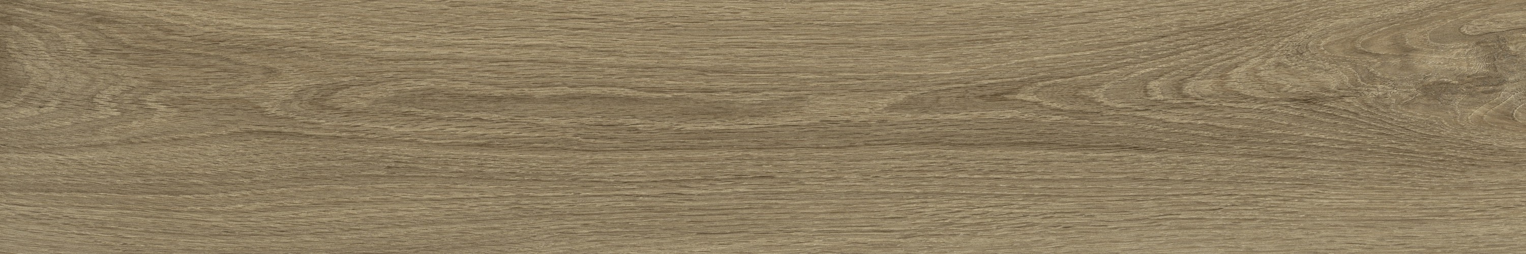 WD106 Branch Taupe 20x120 PrimaVera