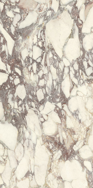 PL612671 Calacatta Viola Luc 60x120 Ariostea
