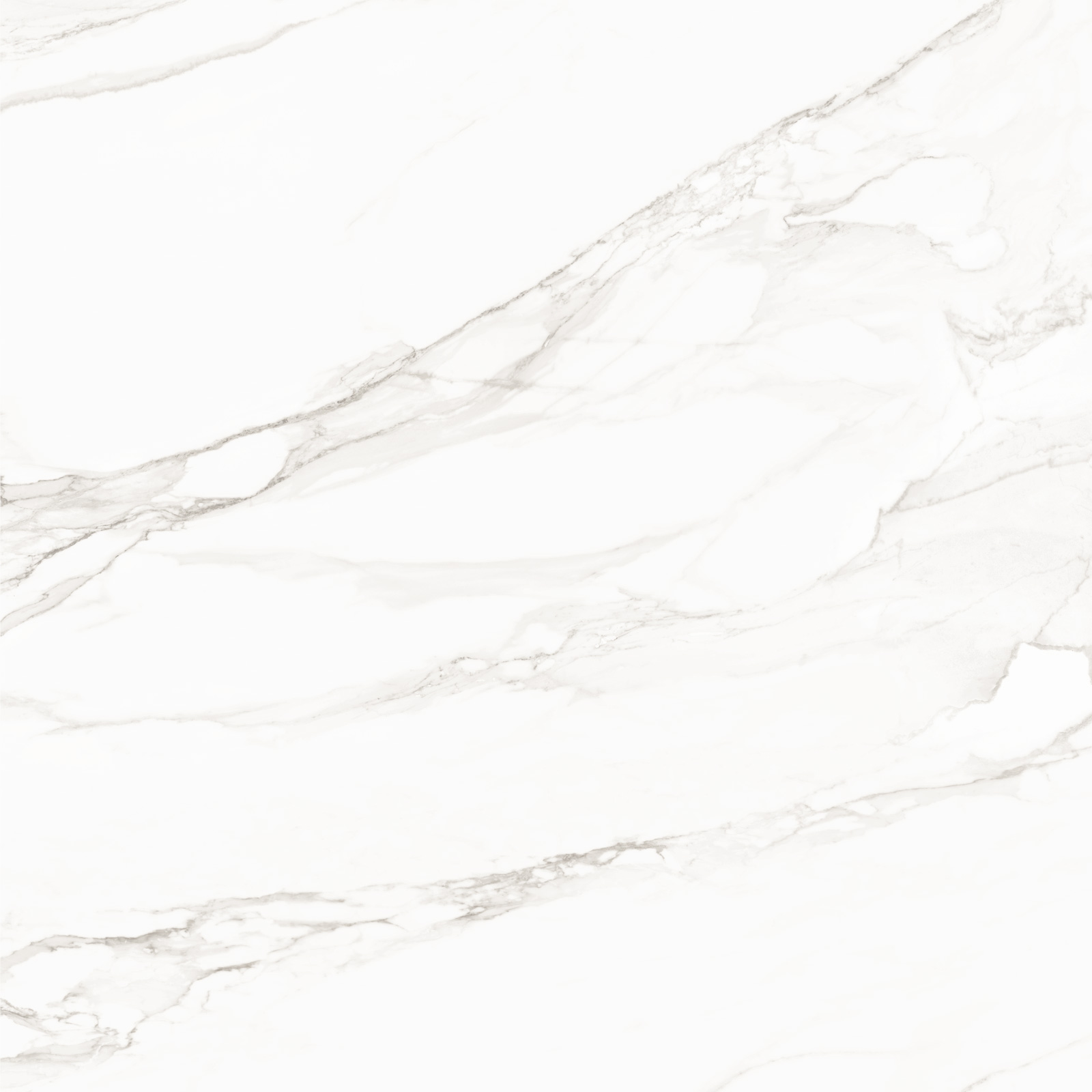 8080TRL00M Trend Line Calacatta матовый 800x800 LCM фото 3