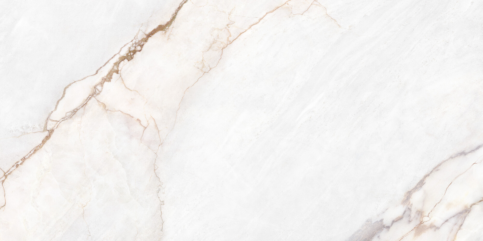 39492 Dahlia White NT/60X120X0,9/C/R 60х120 Peronda фото 13