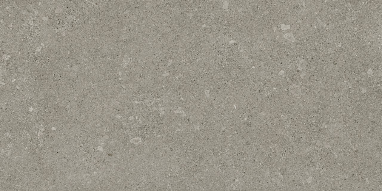 610010002992 Rinascente Fusion Agglomerate Dark / Ринашенте Фьюжн Аггломерат Дарк 60x120 Atlas Concorde Russia фото 2