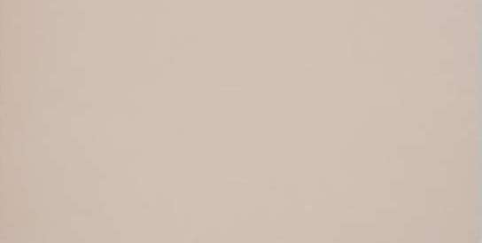 GT028M RAL1019 Капучино матовый 60x120 Грани Таганая