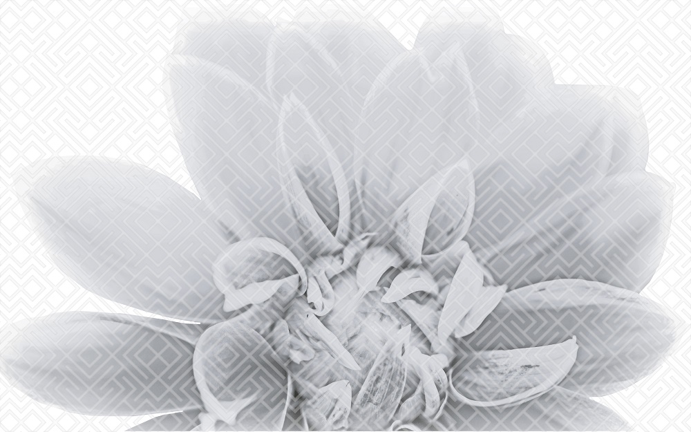 010301001886 Камелия чёрный декор 03 25х40 Gracia Ceramica