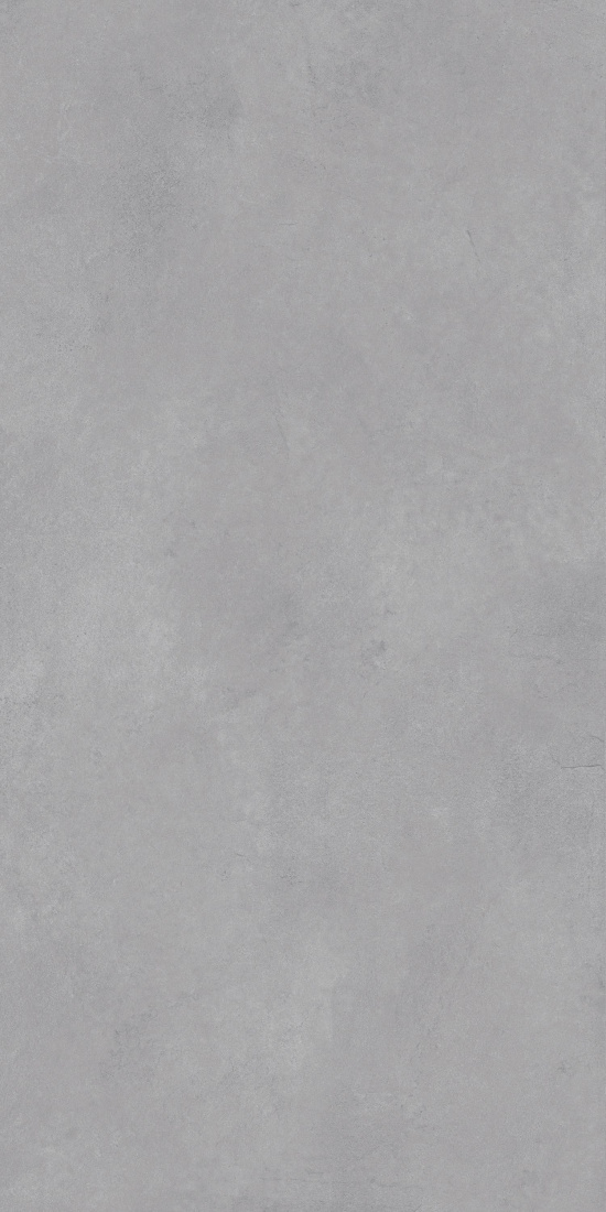 Leonessa Silver Matt 60x120 Modern Tile