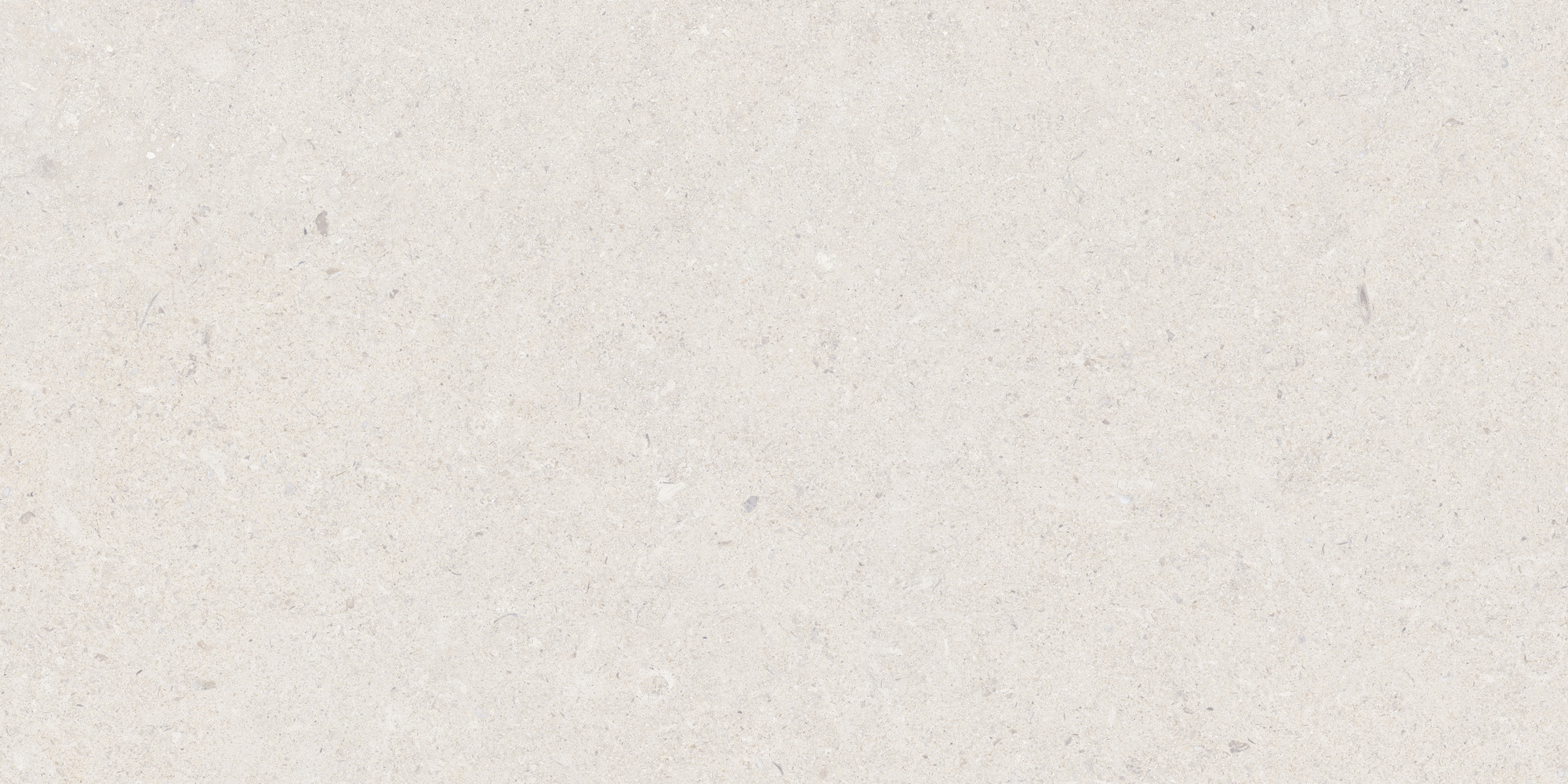 Calcare White 60x120 TAU Ceramica фото 7