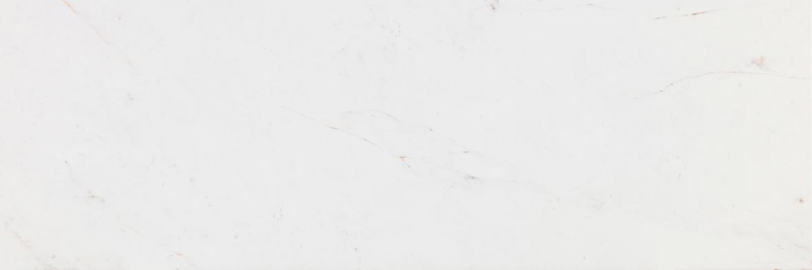 100294524 Rivoli Matt 33.3x100 Porcelanosa