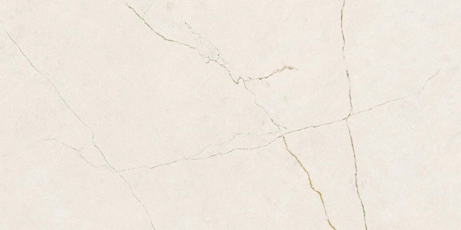 105.022.0108.16515 Antic Velhira White Rect 60x120 Pamesa фото 4