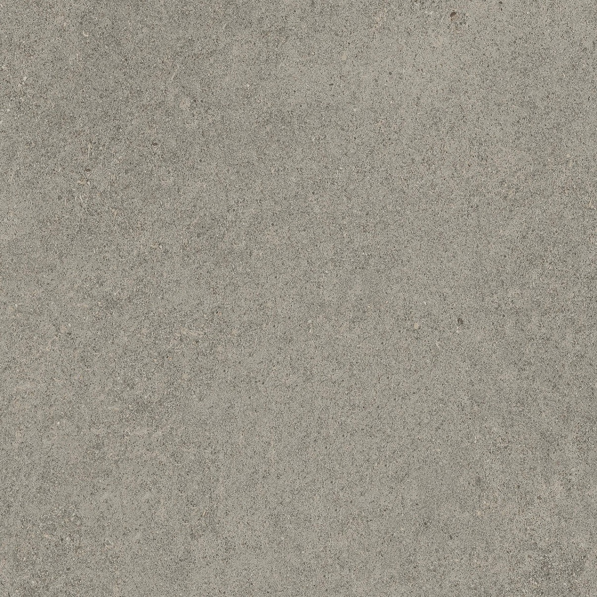 610010005836 Forte dei Marmi Rock Lunar Grey Lastra 20mm 60x60 Atlas Concorde Russia