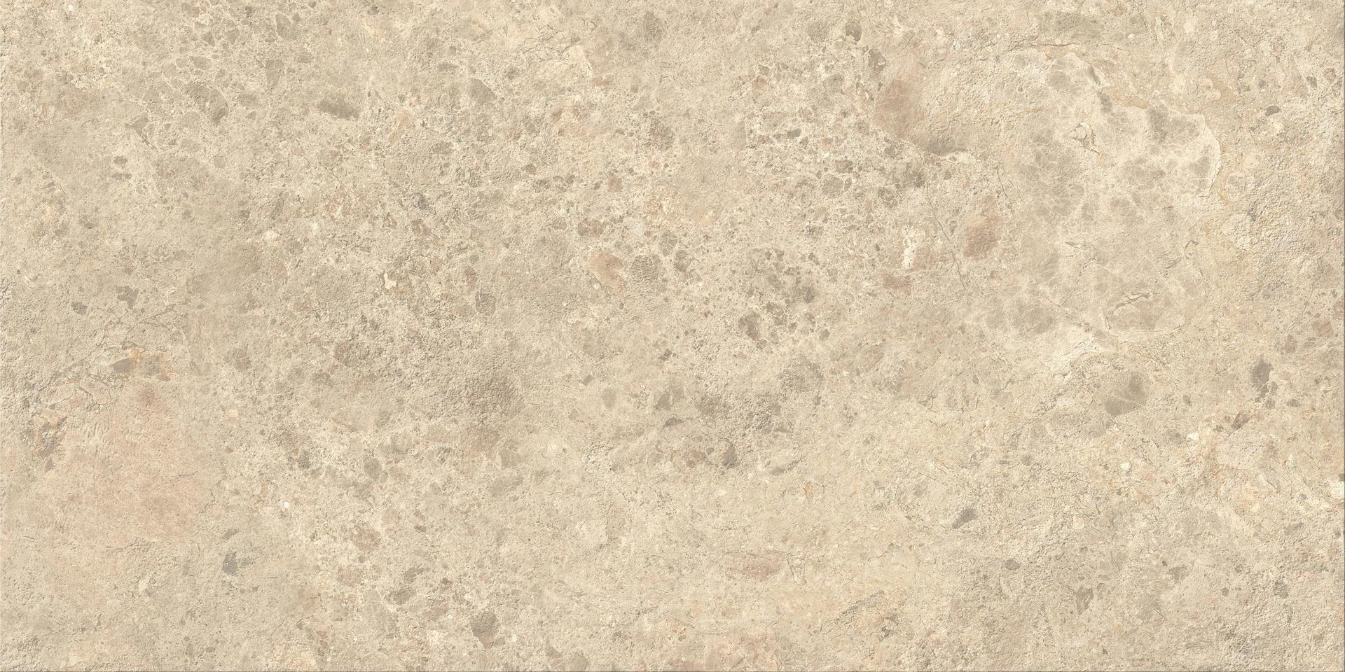 HEWZ Nyra Ambrosia Outdoor 20mm 60x120 Atlas Concorde фото 3