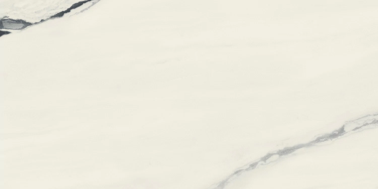 610015000656 Forte dei Marmi Panda White Rett Cer 60x120 Atlas Concorde Russia