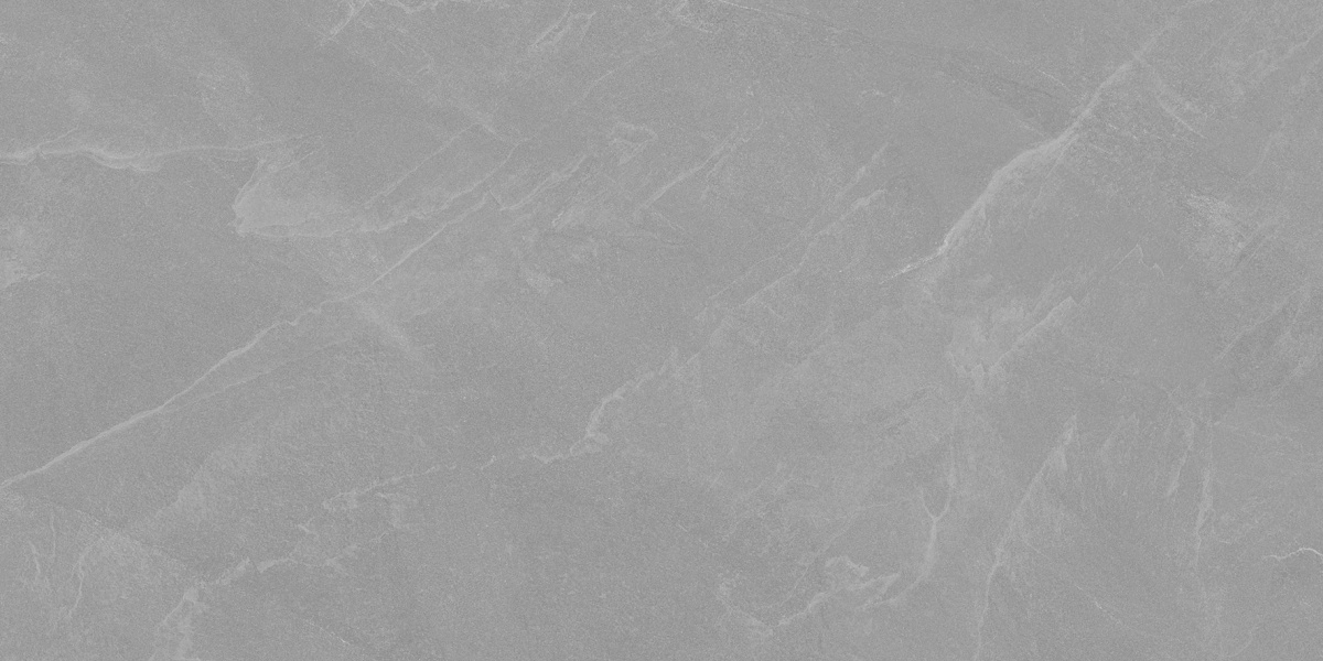 Archie Grey Pro серый матовый R10GR STR 60х120 Laparet