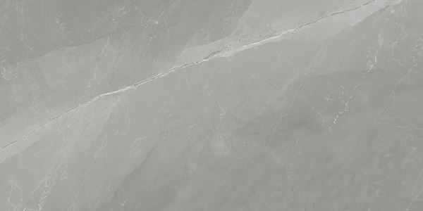 Myas Grey 60x120 Gravita