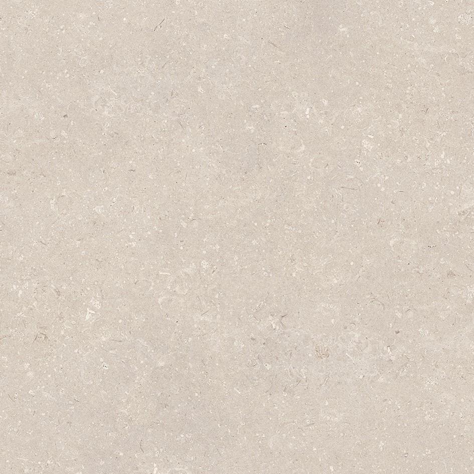 100330177 Coral Caliza L 80x80 Porcelanosa фото 5