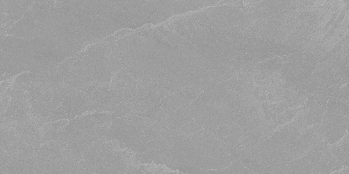 Archie Grey Pro серый матовый R10GR STR 60х120 Laparet