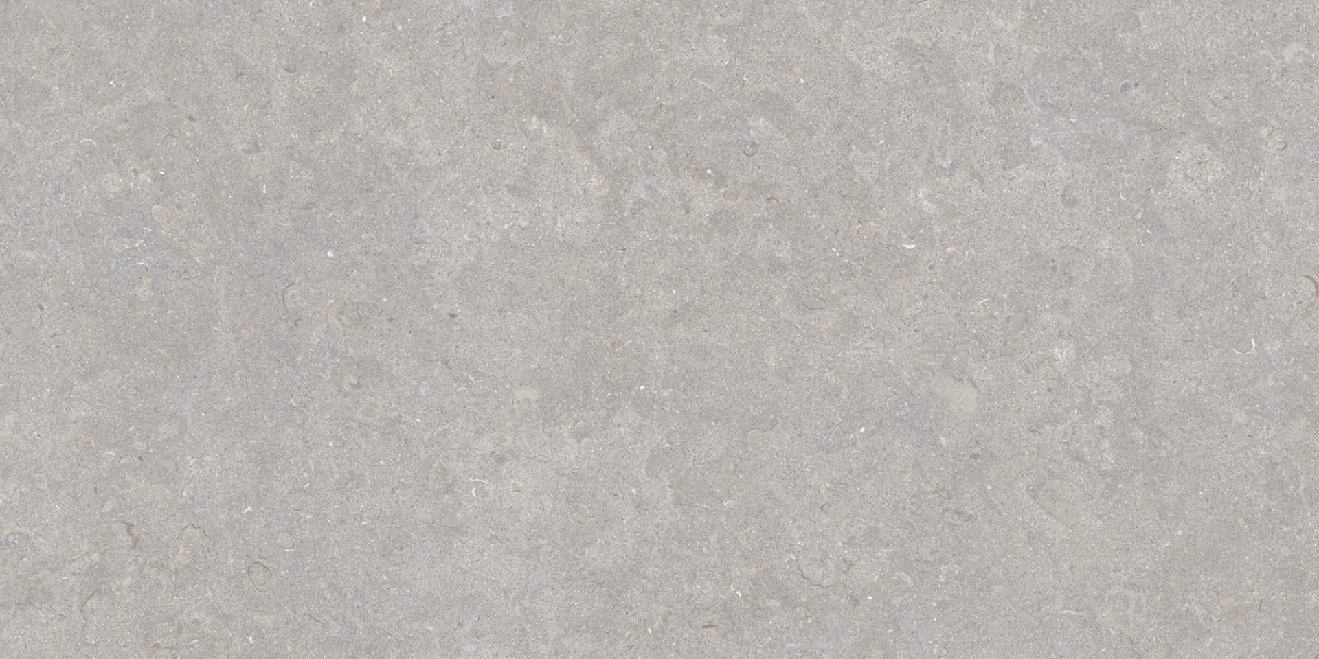 35568 Ghent Grey/50X100X2/A/R 50x100 Peronda фото 10