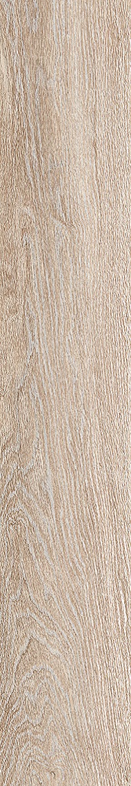LEGNO 2012B RM 20x120 La Faenza