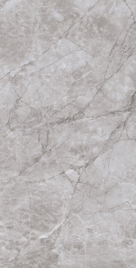 CR4012-A Arctic Grey Carving 60x120 Arcadia Ceramica