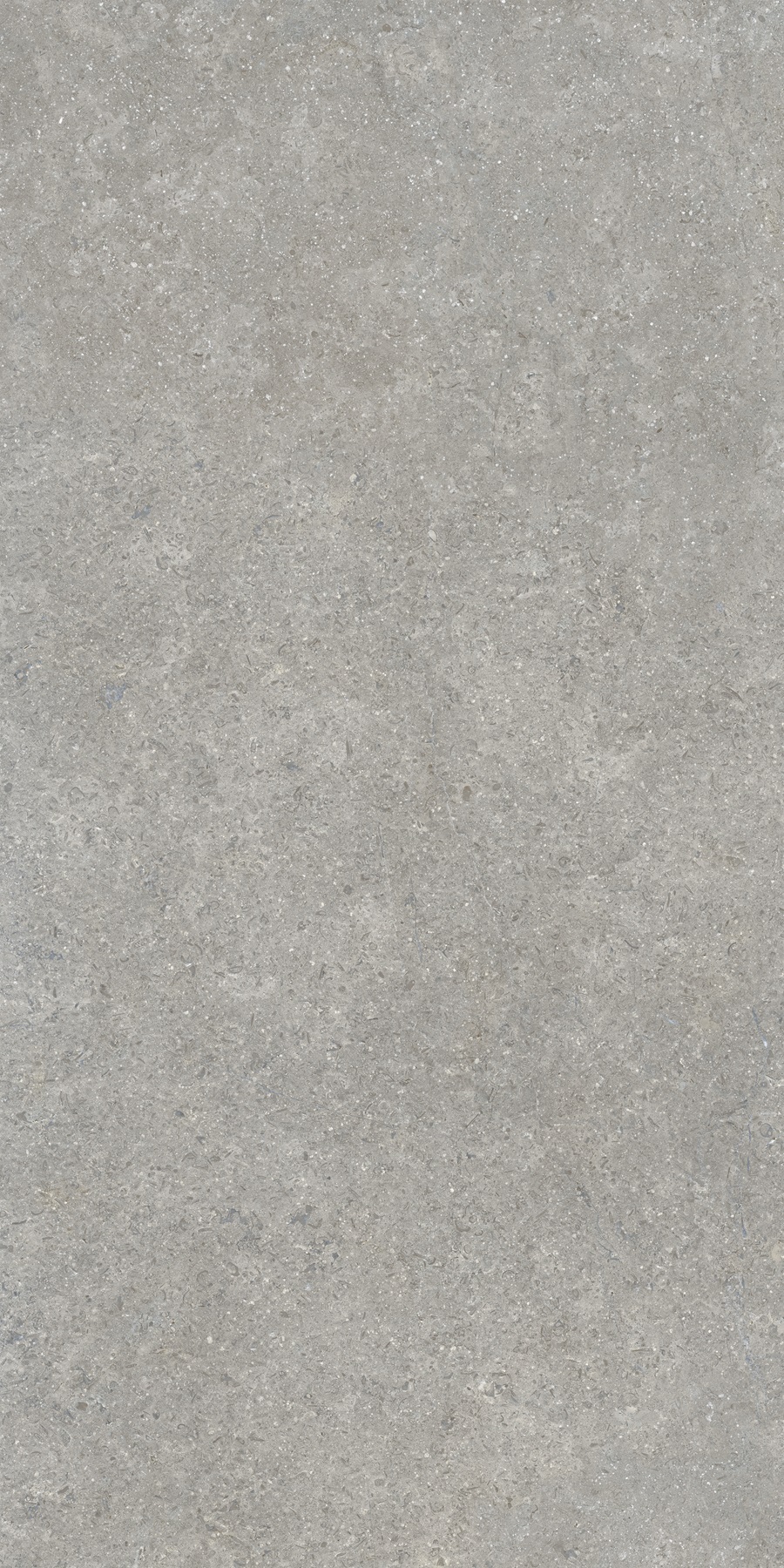 K948634R0001VTER SandStone Серый Матовый R10A Ректификат 60х120 Vitra