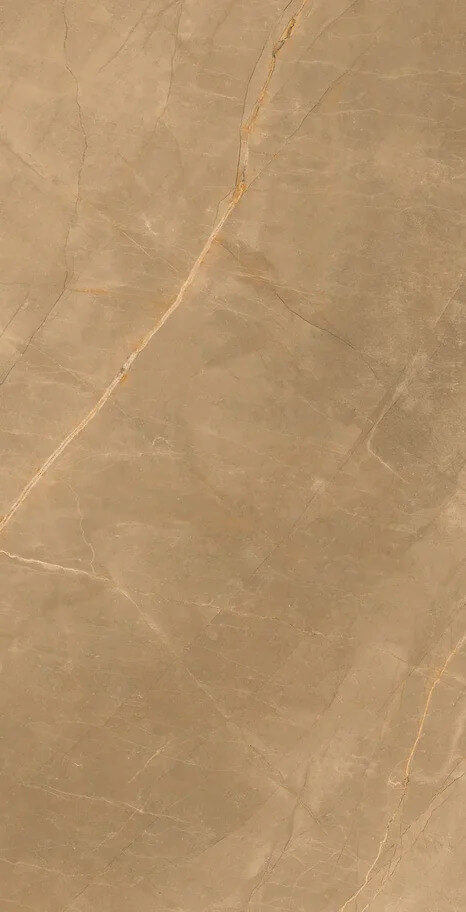 Eco Marble Royalish Brown 120x60 Artcer