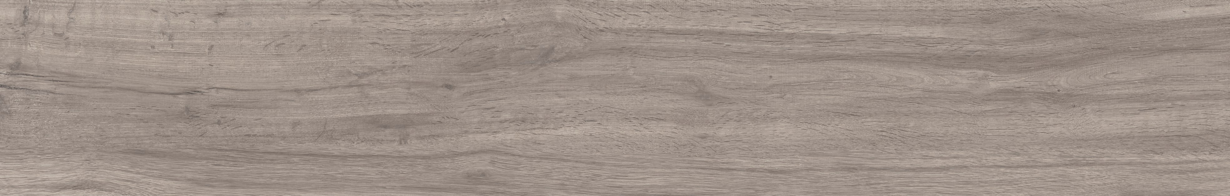 52011 Just NATURE GRIGIO 20x120 Gardenia Orchidea (Versace)
