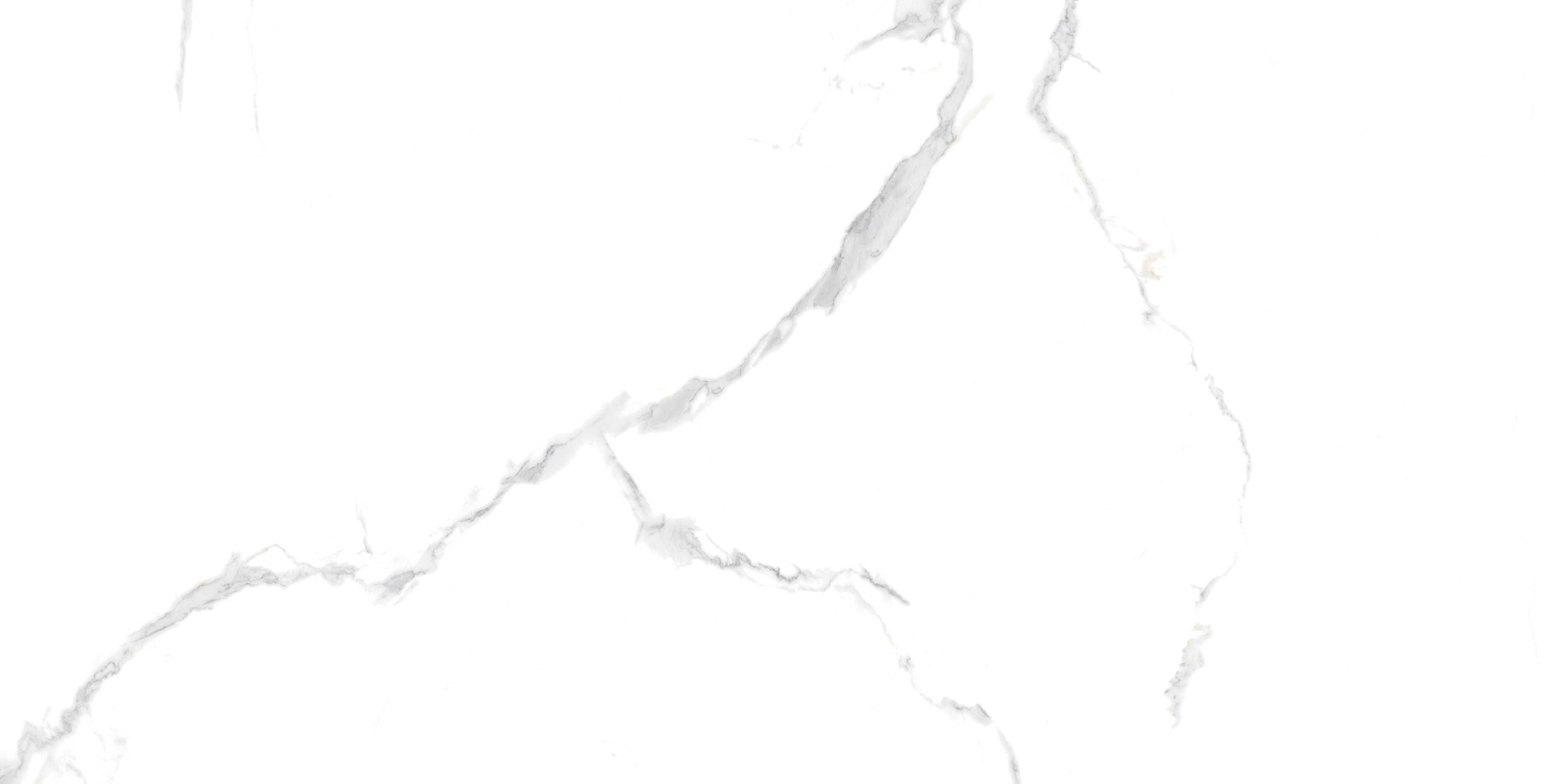 Statuario PGVT 60x120 Casati Ceramica