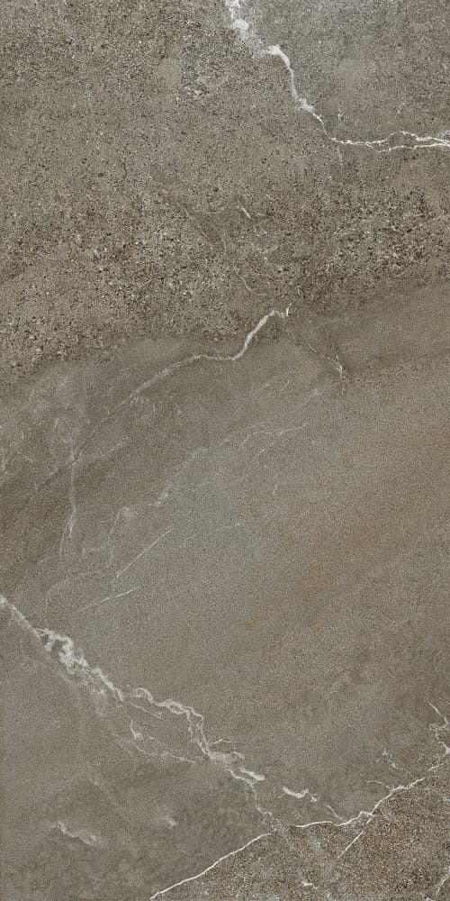 6493-0146 Гроза бежево-коричневый 60х120 Lasselsberger