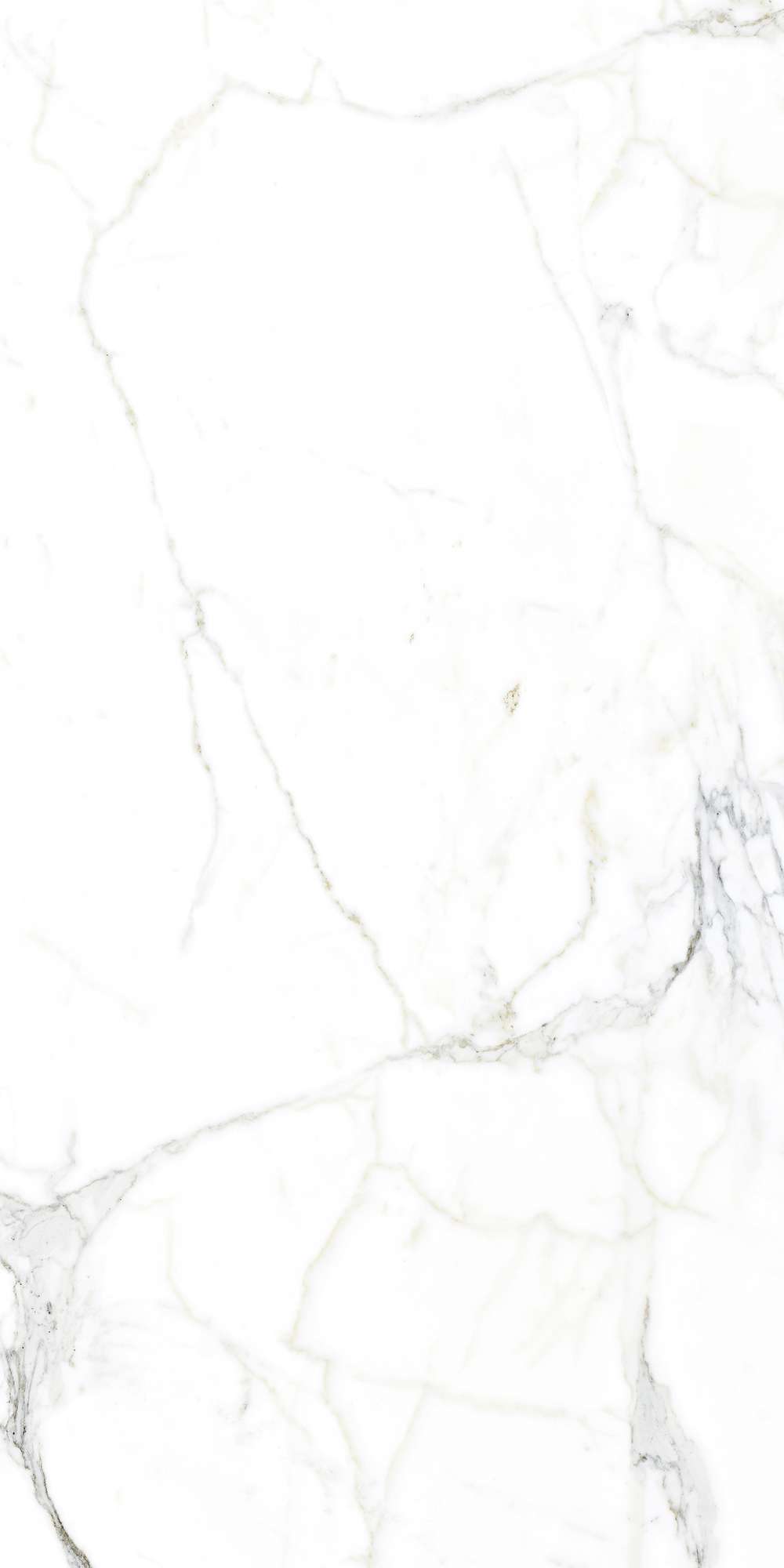 FP1002-A Luce Statuario Full Polished 60x120 Arcadia Ceramica