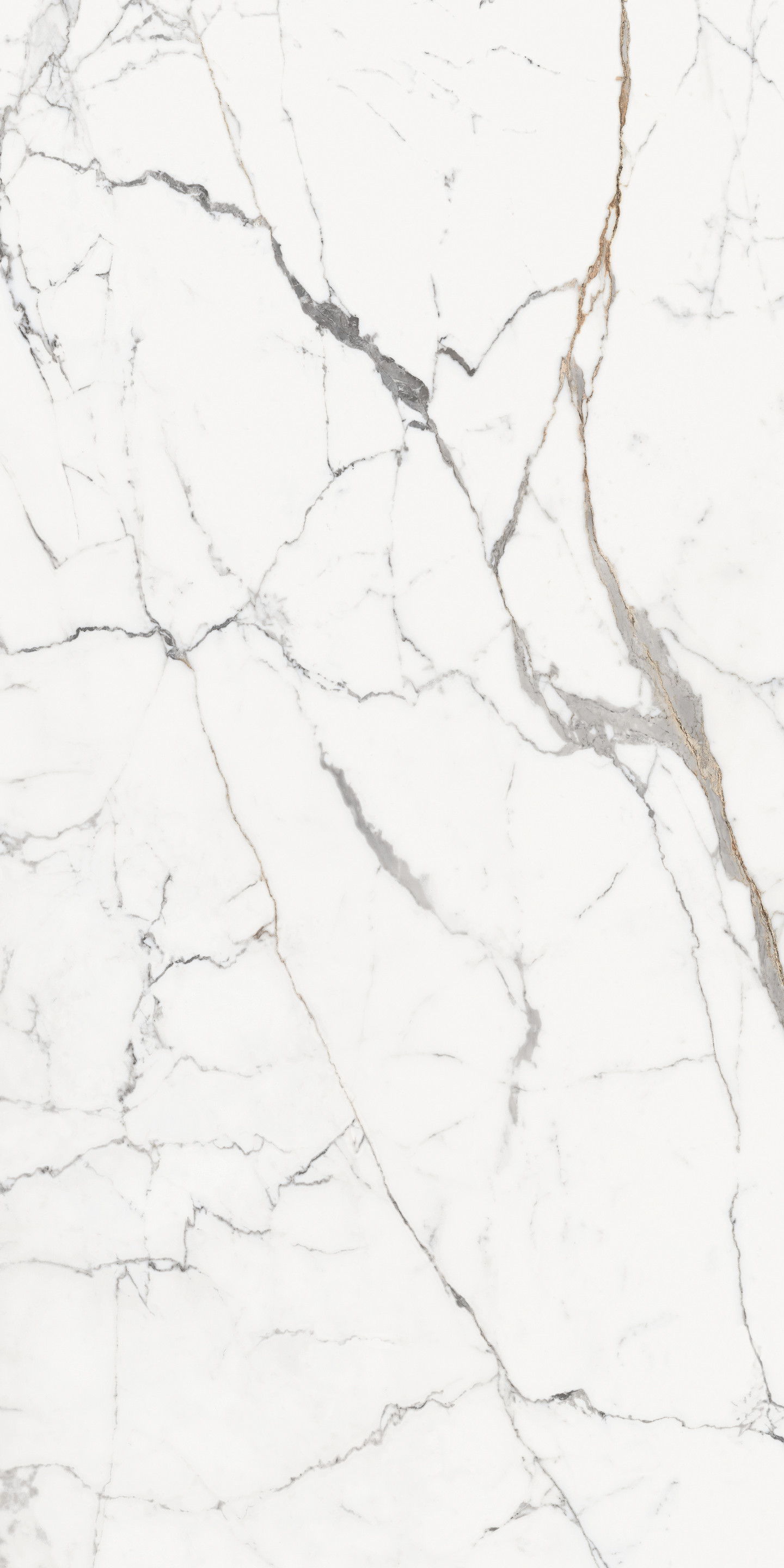 769970 Les Origines Or Glossy R 6mm 120x240 Rex Ceramiche